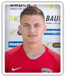 Marin Culjak