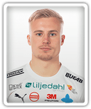 Viktor Bergh