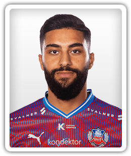 Amin Al-Hamawi
