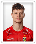 Joel Nöller