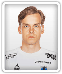 Hannes Sveijer