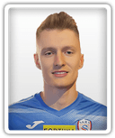 Denis Gojko