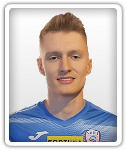 Denis Gojko