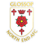 Glossop North End logo