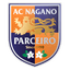 AC Nagano Parceiro logo