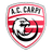 Carpi