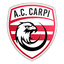 Carpi logo