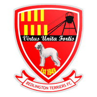 Bedlington Terriers