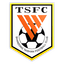 Shandong Taishan logo
