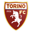 Torino logo