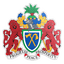 Gambia Armed Forces Football Club logo