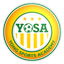 Yong Sports Academy logo