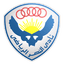 Al-Nasr Sporting Club (EGY) logo