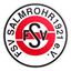 FSV Salmrohr logo