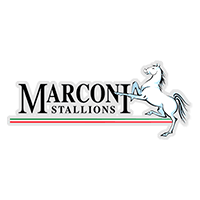 Marconi Stallions FC