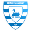 Salon Palloilijat logo