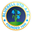 Bluebell United F.C. logo