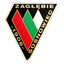 Zagłębie Sosnowiec logo