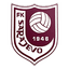 FK Sarajevo logo