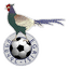 Egrisi Senaki logo