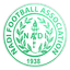 Nadi FC logo