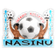 Nasinu FC logo