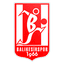 Balıkesirspor logo