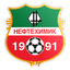Neftekhimik Nizhnekamsk logo