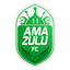 AmaZulu Football Club logo