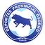 Club Deportivo Provincial Osorno logo