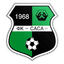 FK Kamenica Sasa logo