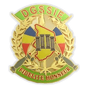AS DGSSIE