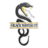 Black Mambas FC