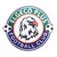 ASSM Elgeco Plus logo
