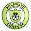 Bulawayo Chiefs logo