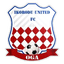 Ikorodu City F.C. logo