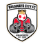 Bulawayo City FC logo