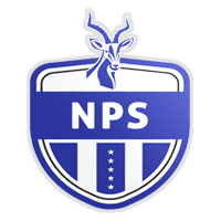 Ngezi Platinum Stars FC