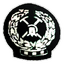 Zimamoto SC logo