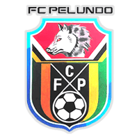 Futebol Clube de Pelundo