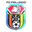 Futebol Clube de Pelundo logo