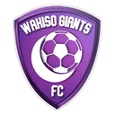 Wakiso Giants