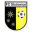 Slusovice logo