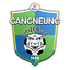 Gangneung City logo