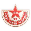 Mladi radnik