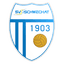 Sportvereinigung Schwechat logo