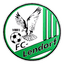 Fussballclub Lendorf logo