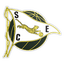 Espinho logo