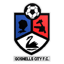Gosnells City