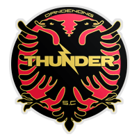Dandenong Thunder FC
